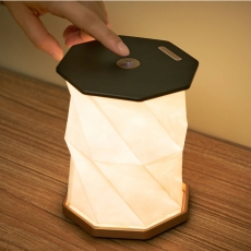 Gingko Twist Hexagon Lamp - Black
