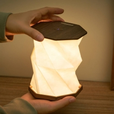 Gingko Twist Hexagon Lamp - Walnut