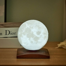Gingko Mini Luna Spin Lamp