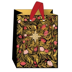 Shining Star Gift Bag Medium