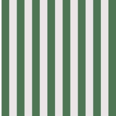 Green Stripes Gift Wrap