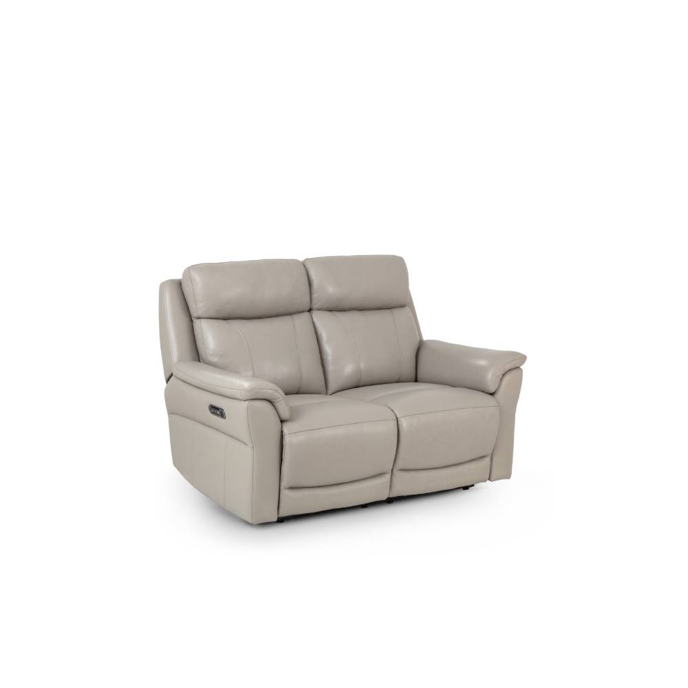 Arlington deals leather sectional