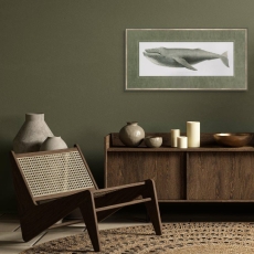 Humpback Whale Framed Print