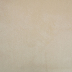 Atlantic Champagne Fabric