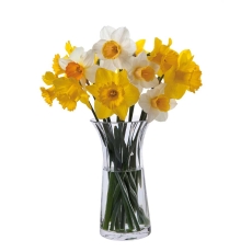 Dartington Florabundance Daffodil Vase