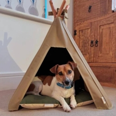 Pooch & Paws Medium Dog Teepee & Mat Combination Set - Light Sand/Olive Green