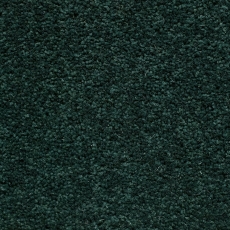Fine Worcester Green Carpet roll End 3.60 x 4.90m