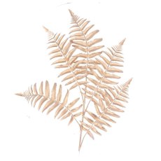 Gisela Graham Matt Gold Fern Leaf Spray