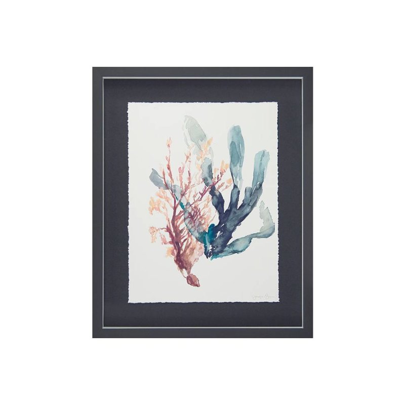 Sweet Seaweed I Framed Picture by Jennifer Goldberger