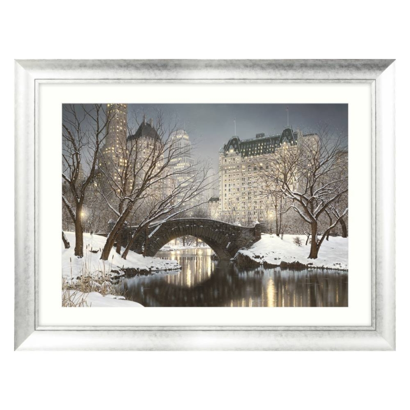 Central Park Winter - Framed Picture