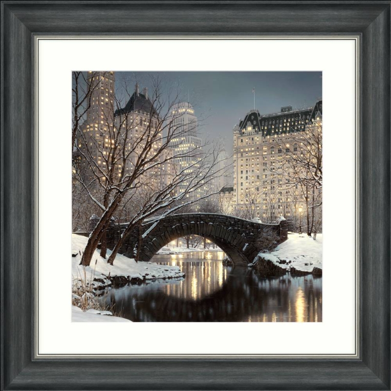 Winter Central Park Detail - Framed Picture