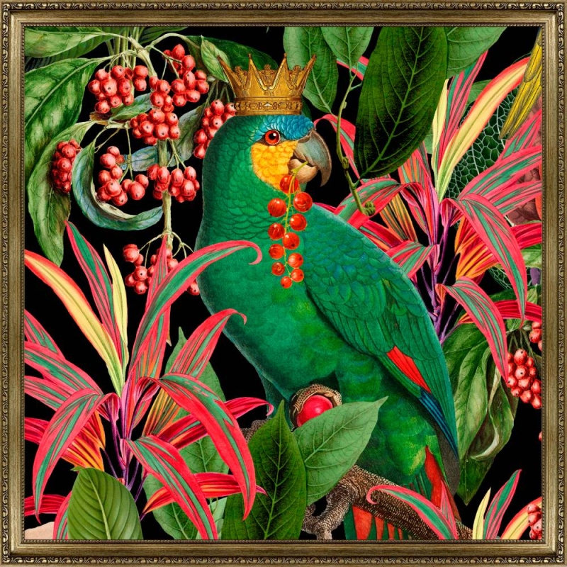 Parrot King II Framed Picture by Andrea Hasse