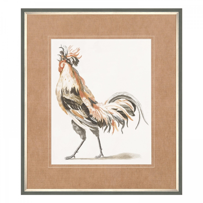 Proud Plumage Framed Print