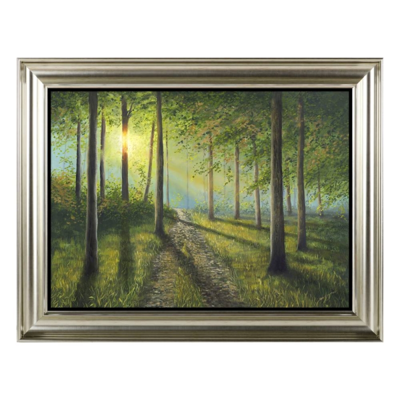 Woodland Walk - Framed Print