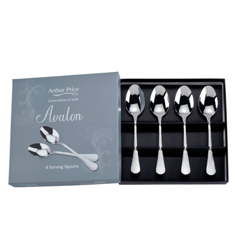 4 Serving Spoon Set