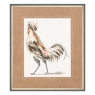 Proud Plumage Framed Print