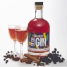 The Hedgerow Make Your Own Sloe Gin Kit