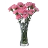 Dartington Florabundance Carnation Vase