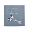 4 Serving Spoon Set