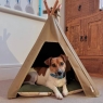 Pooch & Paws Medium Dog Teepee & Mat Combination Set - Light Sand/Olive Green