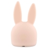 Mrs Rabbit Night Light