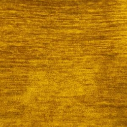 3813 Mustard Luxe