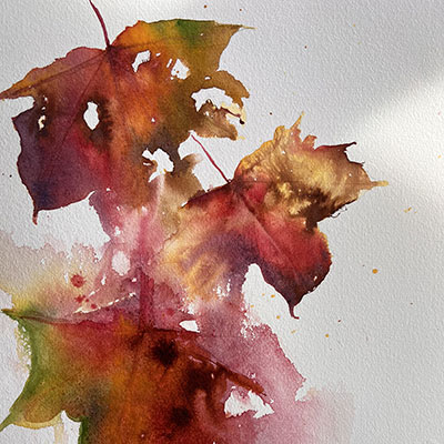 autumn-falling-leaves-helen-clarke-sqr